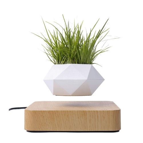Levitating Flower Pot Main image