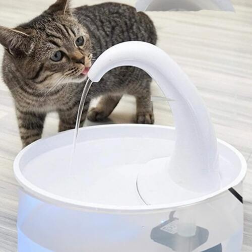Cat Drinking Fountain Main image