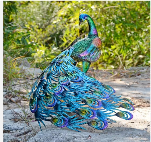 Vibrant Fantail Peacock-Back head Outdoor Garden Decor
