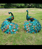 Vibrant peacock-Back head or Front head Outdoor Garden Decor