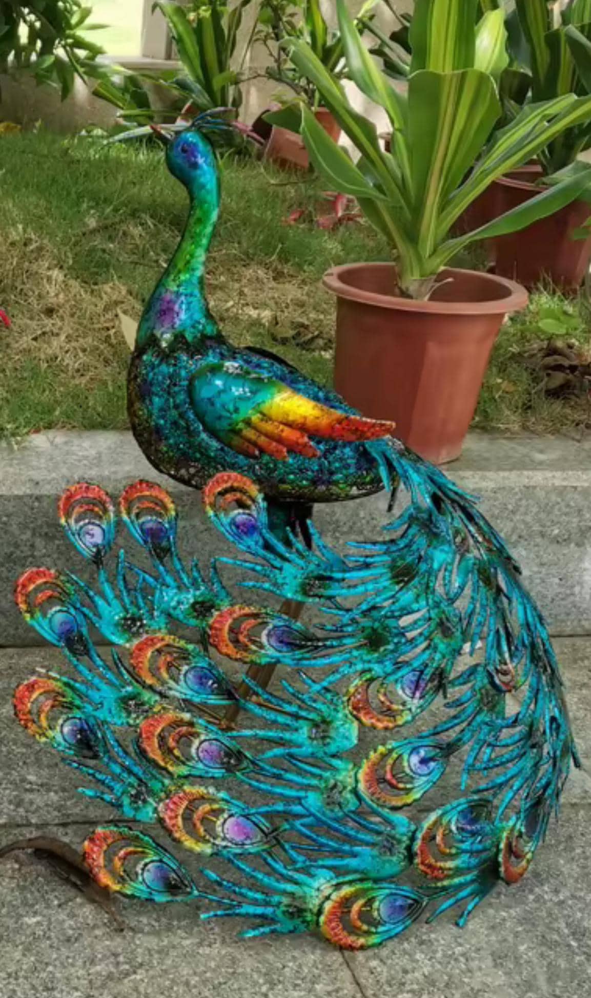 Vibrant peacock-Back head or Front head Outdoor Garden Decor